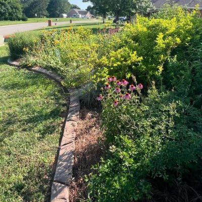 Landscaping with Native Plants Workshop